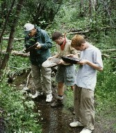 Gold Panning at Baldy Town